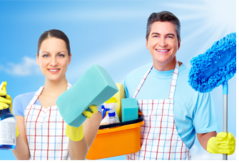 Domestic cleaners